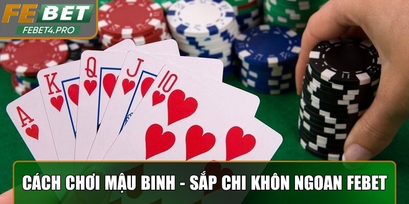 Cách chơi mậu binh thành công với sắp chi khôn ngoan Febet