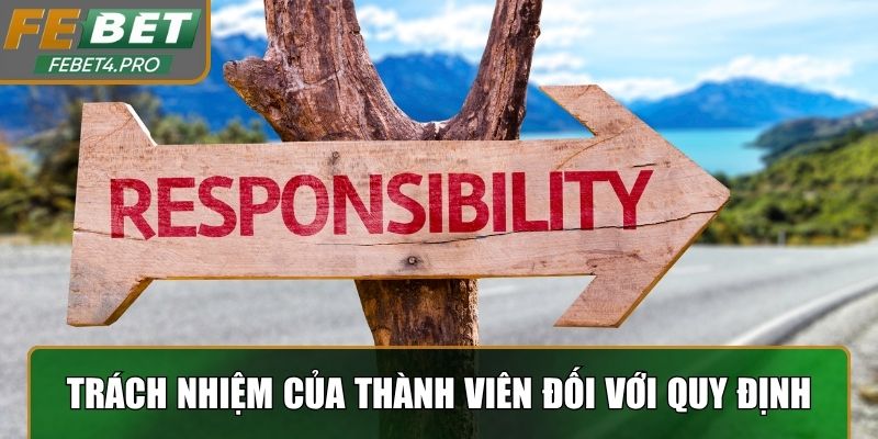 Trách nhiệm của thành viên đối với quy định nền tảng 