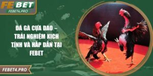 Đá Gà Cựa Dao – Trải Nghiệm Kịch Tính Và Hấp Dẫn Tại Febet