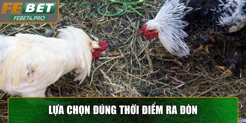 Lựa chọn đúng thời điểm ra đòn
