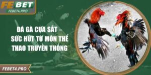 Đá Gà Cựa Sắt – Sức Hút Từ Môn Thể Thao Truyền Thống