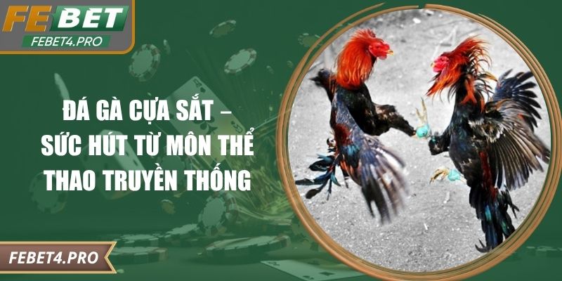 Đá Gà Cựa Sắt – Sức Hút Từ Môn Thể Thao Truyền Thống