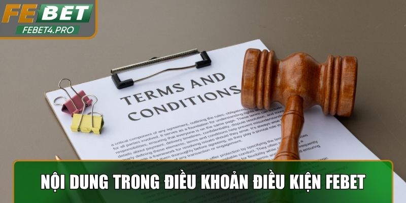 Nội dung quan trọng trong điều khoản điều kiện Febet 