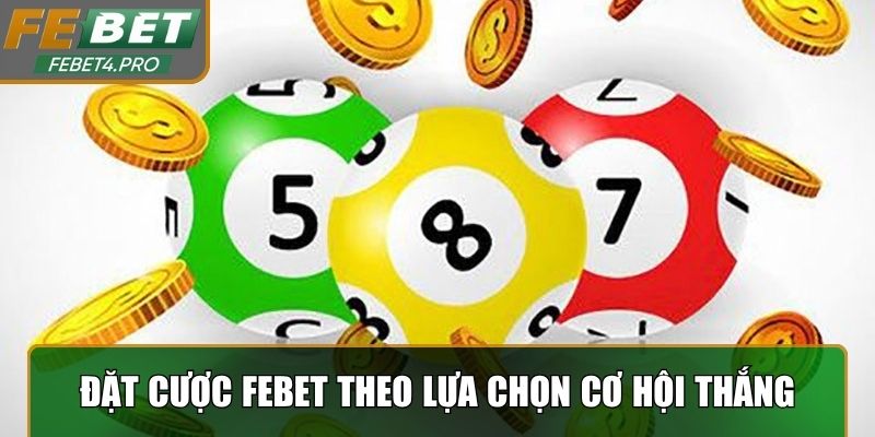 Đặt cược Febet theo những lựa chọn cơ hội thắng