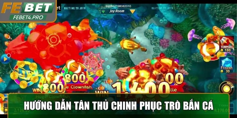 Hướng dẫn tân thủ chinh phục trò bắn cá