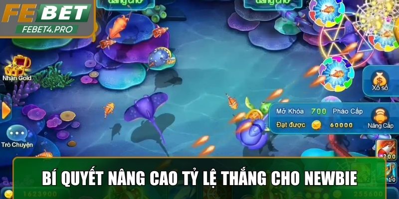 Bí quyết nâng cao tỷ lệ thắng cho newbie