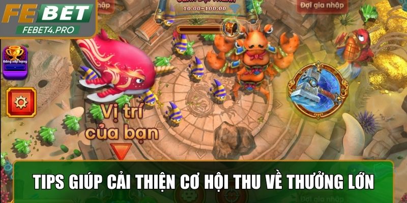 Những tips giúp cải thiện cơ hội thu về phần thưởng lớn