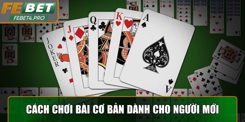 Cách chơi bài cơ bản dành cho người mới