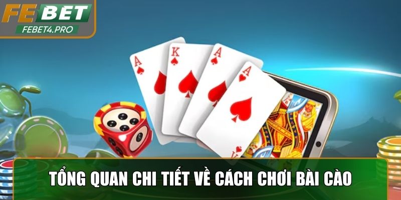 Tổng quan chi tiết về cách chơi bài cào