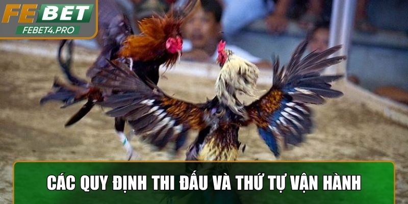 Các quy định thi đấu và thứ tự vận hành