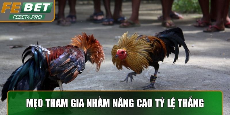 Mẹo tham gia nhằm nâng cao tỷ lệ thắng