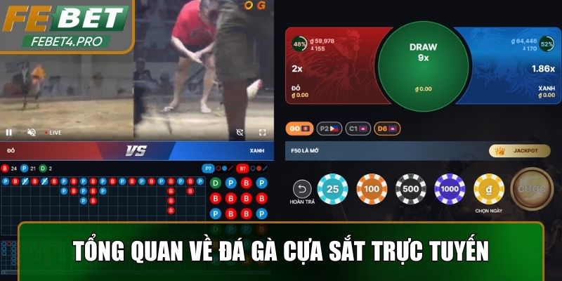 Bức tranh tổng quan về đá gà cựa sắt trực tuyến