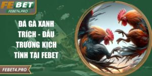 Đá gà xanh trích