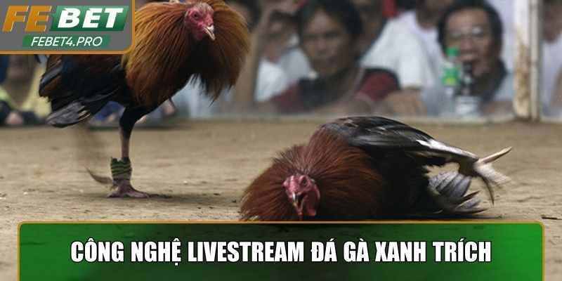 Công nghệ Livestream đá gà xanh trích
