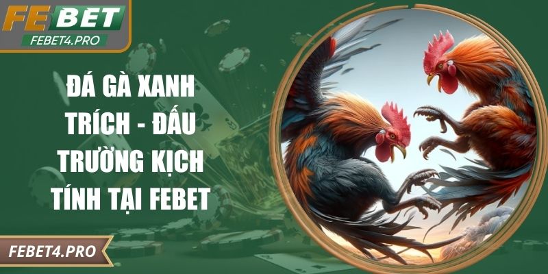 Đá gà xanh trích