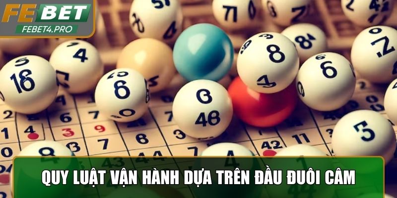 Quy luật vận hành dựa trên tín hiệu đầu đuôi câm