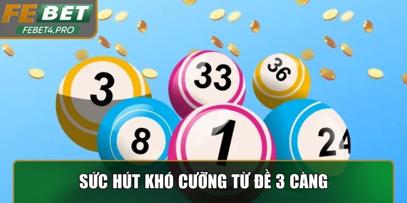 Sức hút khó cưỡng từ Đề 3 Càng 