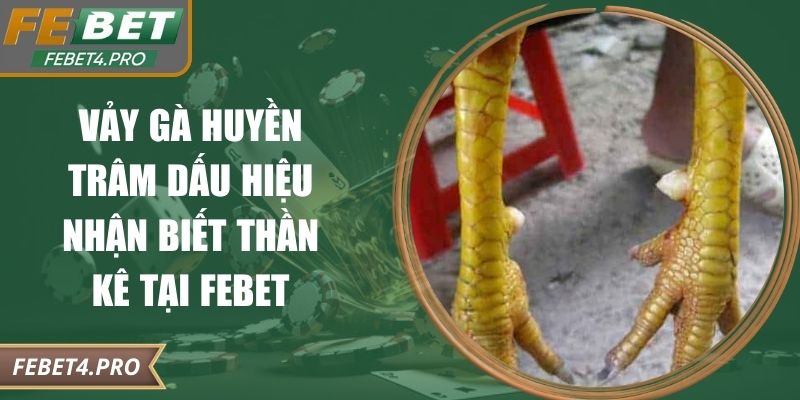Vảy Gà Huyền Trâm Dấu Hiệu Nhận Biết Thần Kê Tại FEBET