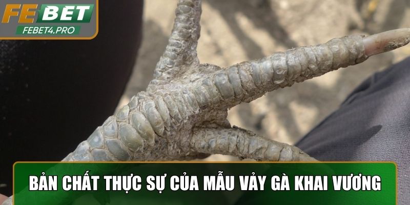 Nguồn gốc và bản chất thực sự của mẫu vảy gà Khai Vương