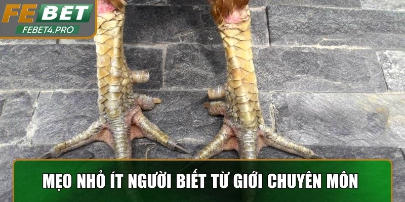 Những mẹo nhỏ ít người biết từ giới chuyên môn 